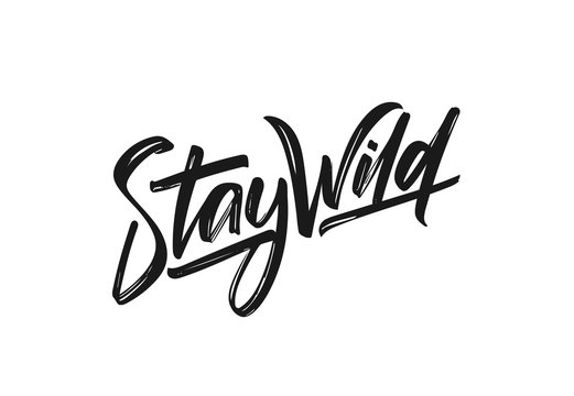 Vector illustration: Handwritten calligraphic lettering of Stay Wild.