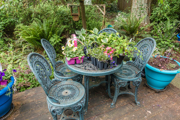 Plants On Back Porch Table