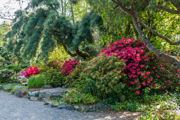 Spring Flower Garden Landscape