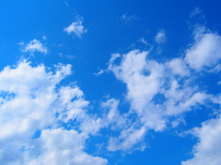 Obraz premium OLYMPUS DIGITAL CAMERA