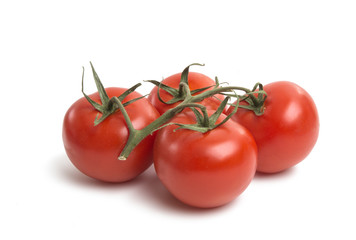 tomatoes isolated