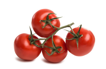 tomatoes isolated