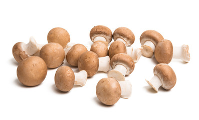 royal mushrooms isolated