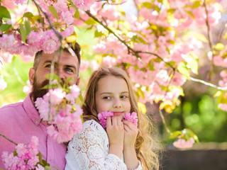Obraz premium Childhood concept. Girl with dad near sakura flowers on spring day. Child and man with tender pink flowers in beard. Father and daughter on happy faces play with flowers, sakura background.