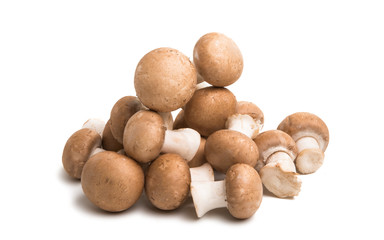 royal mushrooms isolated