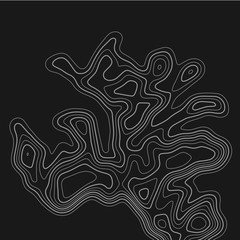 Topographic map. Topographical background. Linear graphics. Vector illustration.