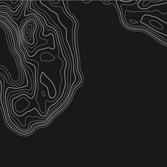 Topographic map. Topographical background. Linear graphics. Vector illustration.