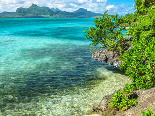 The tropical and transparent waters around the Ile aux Aigrettes, a small coral island declared a...