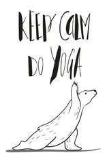 funny yoga with polar bear, fitness white bears, yoga poses, Surya Namaskara meditation. Ashtanga vinyasa yoga poses