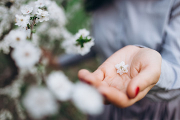 The beautiful girl keeps a flower