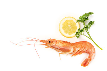 Overhead photo of a raw shrimp on white, with parsley and lemon, with copy space