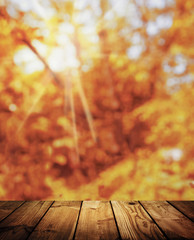 Naklejka na ściany i meble Sun rays in autumn leaves. Nature background. wooden old table.