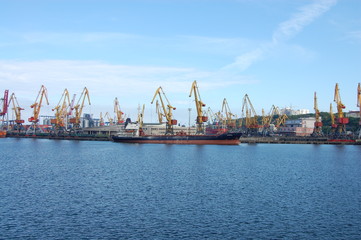 large cargo ships in the port with cranes