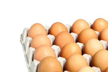 chicken eggs in the cardboard egg tray on white background