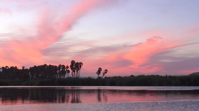 Estero San Jose del Cabo