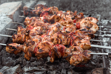 Close up shot of appetizing hot shish kebab with tomatoes on metal skewers prepares on the coals outdoors. Grilling shashlik on barbecue grill.