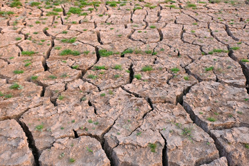 Dried and Cracked ground,arid soil close up