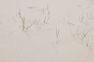 Plain white sand background with green grass