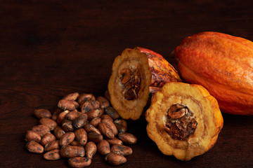 Cocoa fruit on wooden background