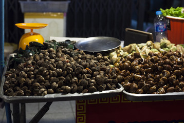 Street food seashells on night street market