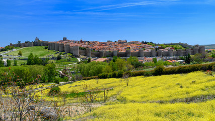 Fototapeta na wymiar panorama of Avila, Spain