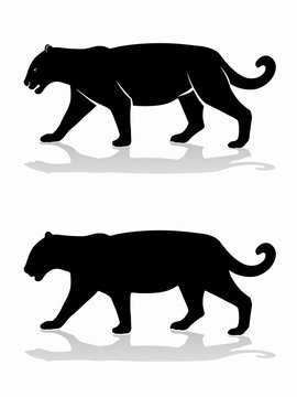 silhouette of panther , vector draw