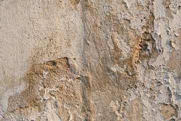 Grey grunge texture cement wall. copy space