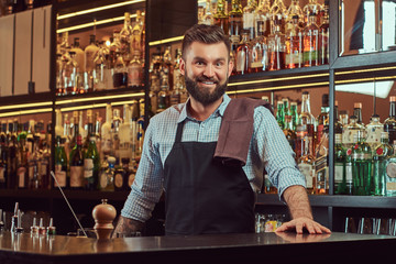 Stylish bearded bartender in a shirt and apron standing at bar counter background.