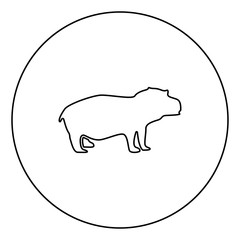 Hippopotamus black icon in circle outline