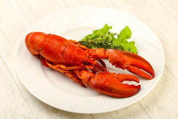 Lobster