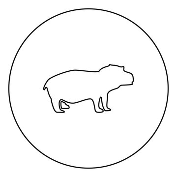 recommend clip art: Hippopotamus black icon in circle outline