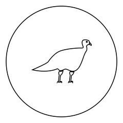 Turkeycock  black icon in circle outline
