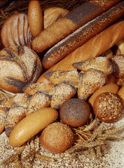 Fresh bread, different kinds closeup