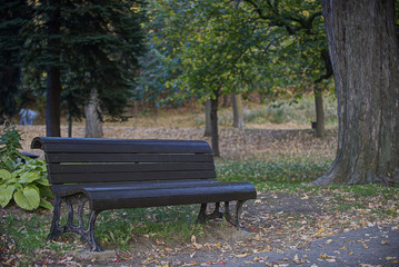 Banc dans un parc