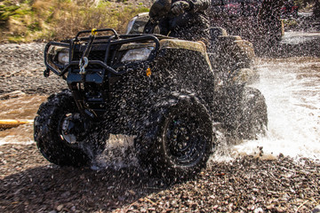 Wheeling It © ashley