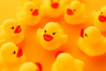 Group of rubber ducks chatting