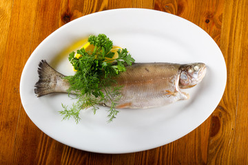 Steamed trout