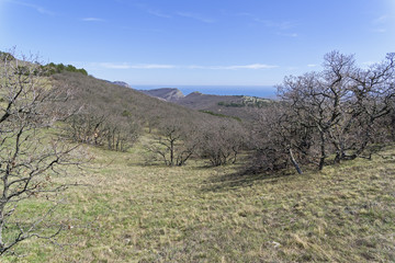 Naklejka premium The path leading along the top of the ridge. Crimea.