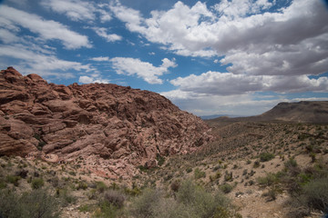 Desert Landscape Beauty