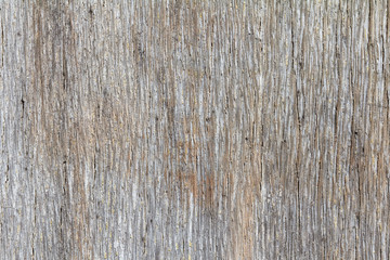 Fototapeta premium rough surface of old plywood