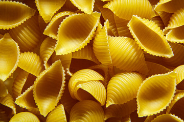 Conchiglioni italian pasta