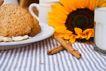 Obraz na płótnie Canvas Close up oatmeal cookies, cinnamon sticks and glass of milk and decorated with sunflower.
