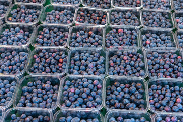 Fresh blue huckleberries for sale at a market