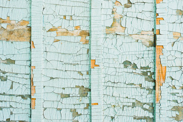 Fototapeta na wymiar A large textured background. Exfoliating blue paint in large pieces missing on the wooden coating. The concept of ruin and vintage antiquity