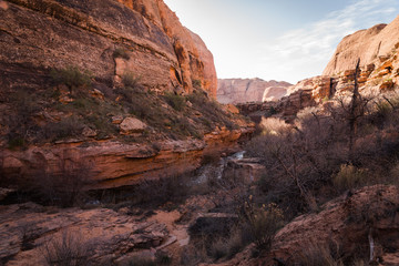 Beautiful landscape view in a valley in Moab, Utah. 