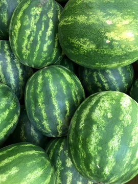 Bunch of Watermelons. Photo image