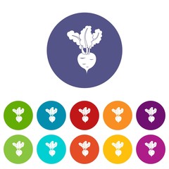 Fresh beetroot set icons in different colors isolated on white background