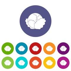 Cabbage set icons in different colors isolated on white background