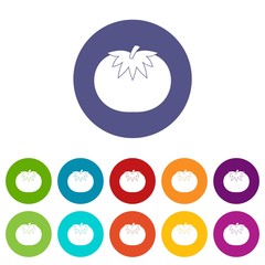 Tomato set icons in different colors isolated on white background