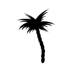 Vector illustrations silhouette of palm trees